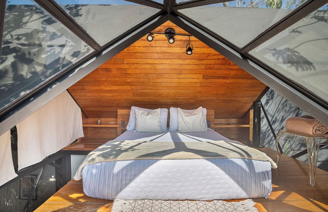 Bosque Geométrico - Foto 10