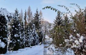 Agroturystyka Nad Cichą - Foto 6