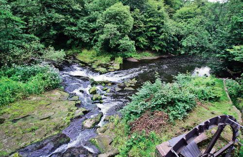 The Wheelhouse - Foto 13