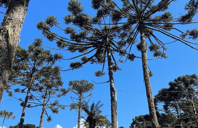 Bulawayo Lodge - Foto 23