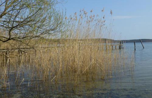 Altes Fischerhaus - Foto 44