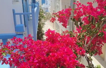 Dinas Inn - Photo 50