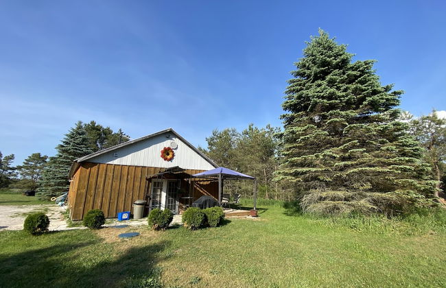 Dreamers Writing Farm - Foto 77