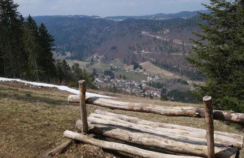Appartement Lélex vue sur les pistes - Foto 8