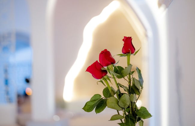 Antica Torre di Iuso - Photo 21