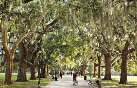 Walk Score 90!!-Historic Downtown District-2 Blocks to Famous Forsyth Park-FREE Private Parking-Huge Private Patio - Foto 46
