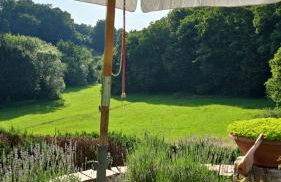 Ferienwohnung-Pension Osterwiese - Foto 16