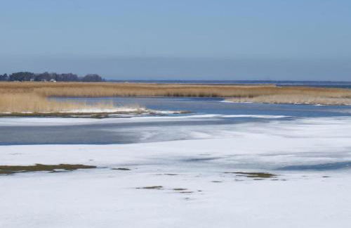 Holiday Home Fünfjahreszeiten in Bodstedt by Interhome - Foto 32
