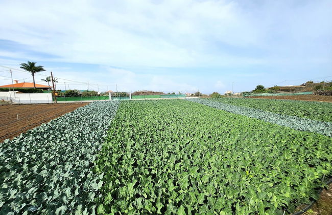 Casa Salvia - Rural Holiday Home - Foto 37