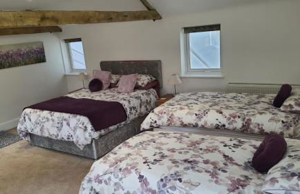 The Orangery - Foto 19