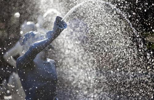 Waldburg Garden - Foto 24