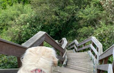 Loughview Lodge - Foto 45