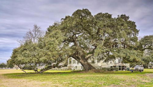 Vintage Louisiana Vacation Rental Home - Foto 3