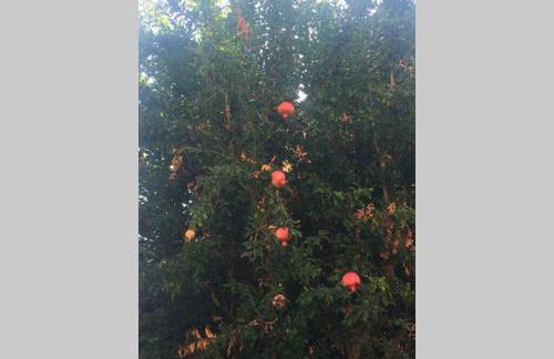 House Bologna Stazione Mazzini flat x 2 - Foto 29