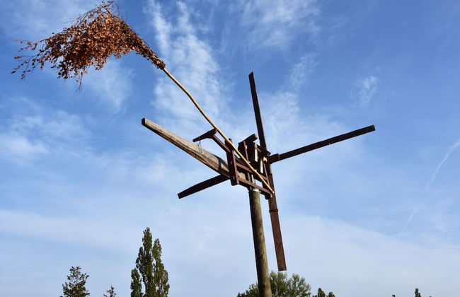 Pool Villa Izabela With Wellness - Photo 48