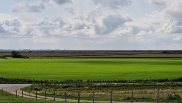 Tranquil Retreat in Skaerbaek - By Traum Ferienwohnungen - Foto 3, Diversos