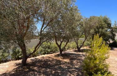 Villetta in Salento con giardino - Foto 10