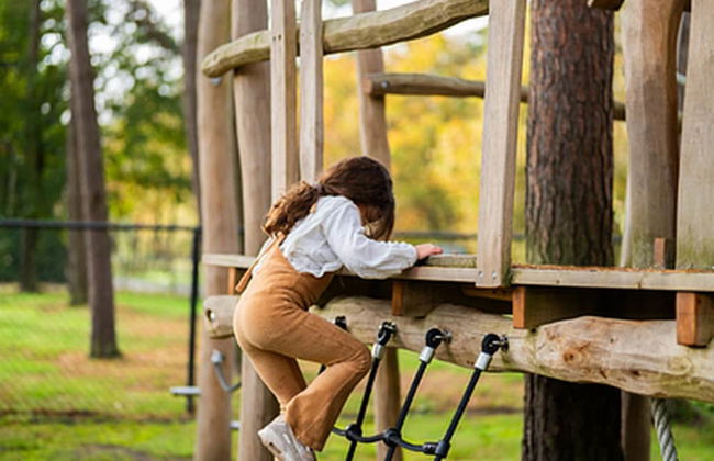 Chalet by Park Pond in the Netherlands - Foto 10