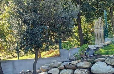 Casa di l Alivetu - Foto 15