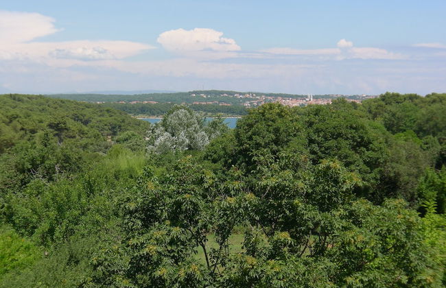 Apartment for 3 Persons in Quiet Part of Premantura With Beautiful Garden and Partial sea View - Photo 13