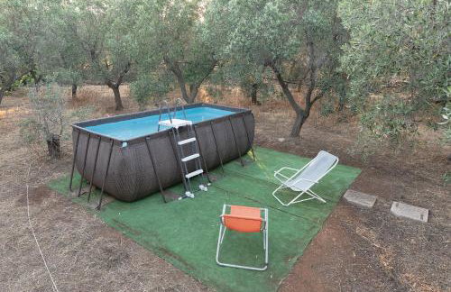 Casale Eucalipto, un uliveto vicino al mare - Foto 38