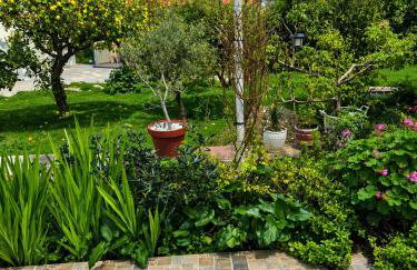 Anastasia's garden house - Foto 29