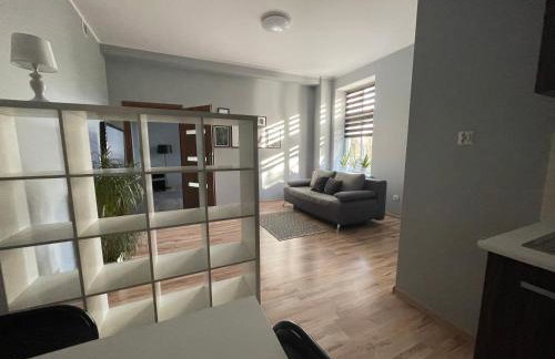 Apartamenty Trzciana - Foto 23