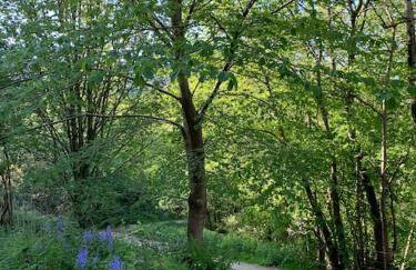 Luxury Attic Studio, heart of Uppermill, Saddleworth - Foto 11