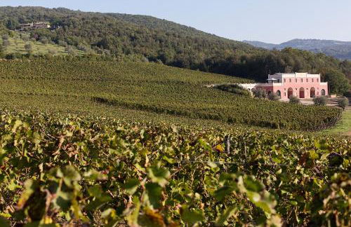 Tenuta il Sassone - Wine&Food - Foto 15