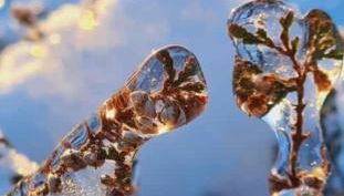 Ferienwohnung Heide View - Foto 4