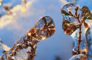 Ferienwohnung Heide View - Foto 4