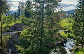 Waldgeflüster 2-Zi-DesignOase mit Terrasse und Tiefgarage im Neubau - Foto 31