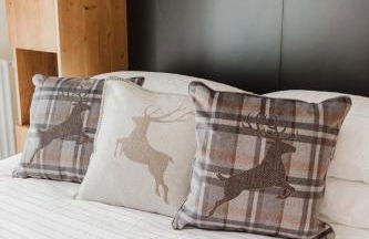 PINZOLO MOUNTAIN LODGE - Foto 26