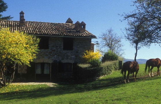 Tenuta Le Silve - Foto 25