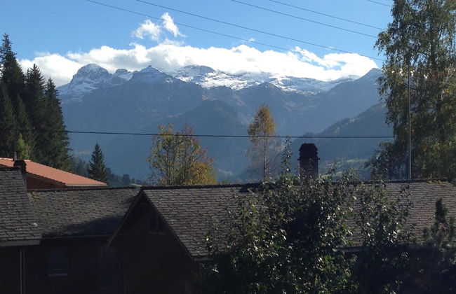 Favre OG Ost - Foto 6