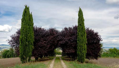 Scappo in Umbria, Torre Angelina - Photo 5