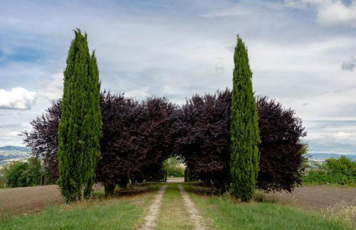 Scappo in Umbria, Torre Angelina - Foto 5