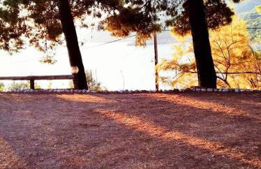 Dialiskari #2 - Foto 25