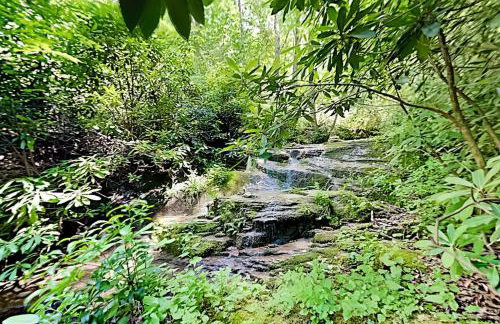 River Song - Foto 19