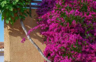Résidence Guddelmoni, Piscines chauffées - Foto 37