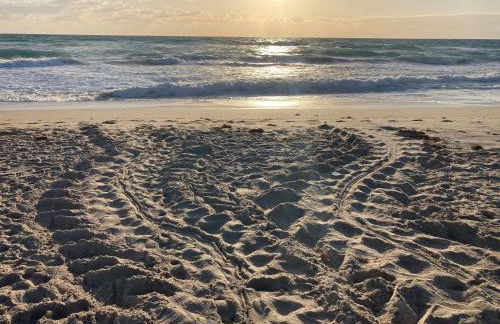 Sand Dune Shores - Foto 116