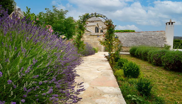 Villa Glicinia - Foto 4, Outdoor