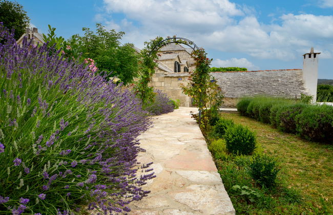 Villa Glicinia - Foto 4