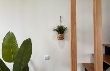 Tainhas Village - Vila Franca do Campo - Photo 3