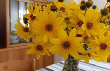 Appartamenti Viola Walter - Photo 15