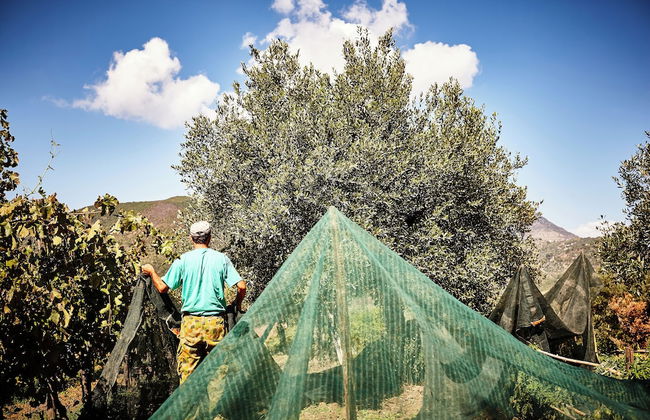 agriturismo i moresani - Photo 66