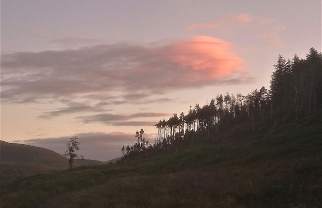 Mourne Mountain Art Apartments - Foto 41