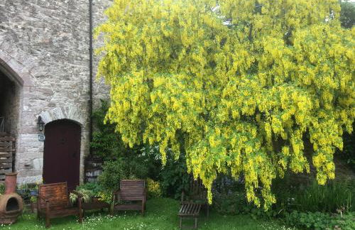 Welsh Gatehouse, Historic Castle which can cater for Electric Vehicle - Foto 27