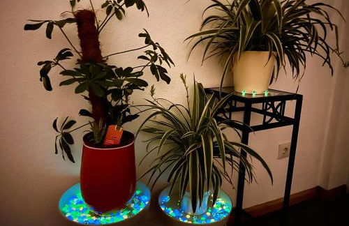 Stylish, Cozy & Quiet Apartment with one and half rooms in District 1 - Foto 49