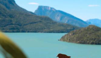 Villa la Dama del Lago - Foto 3